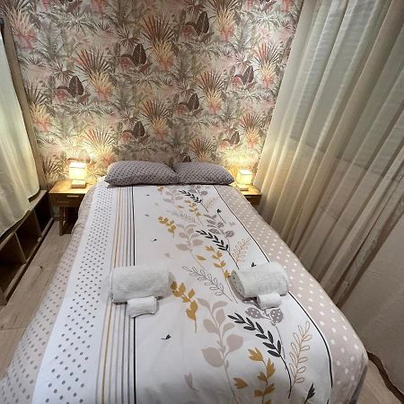 Appartement De Luxe En R/C Idealment Place En Hyper Centre 루르드 외부 사진