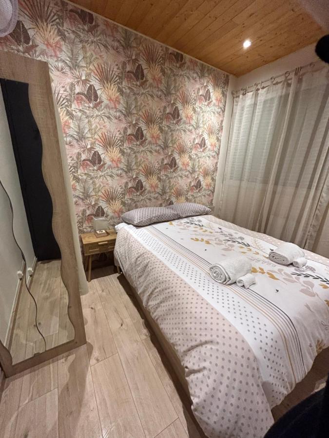 Appartement De Luxe En R/C Idealment Place En Hyper Centre 루르드 외부 사진